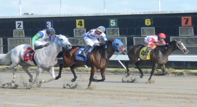 Jinetes agradecen a Comisión Hípica rehabilitación de sauna