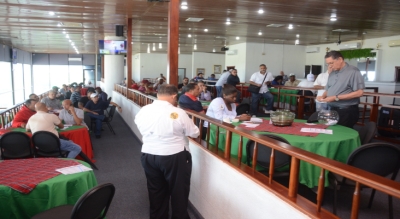 Dueños compran ocho caballos importados a Comisión Hípica