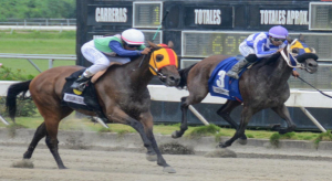 Comisión Hípica pondrá a la venta 10 caballos el sábado 03 de agosto 2024