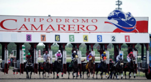 La Comisión Hípica Nacional decidió devolver todo el dinero apostado este domingo al pool 6 de Camarero